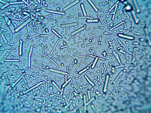 AI agents identify two room-temperature magnetic semiconductor candidates for memory