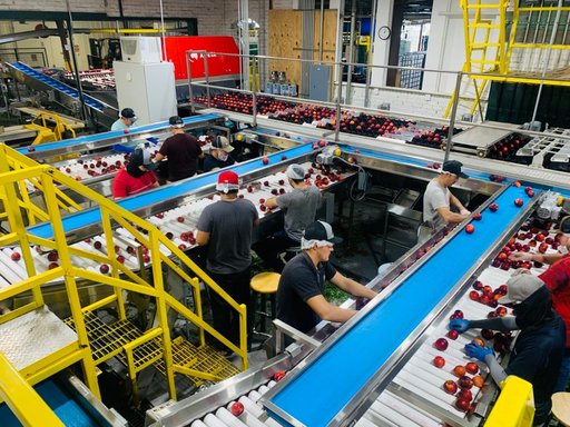 Amazon Uses AI to Predict Union Activity at UK Warehouses