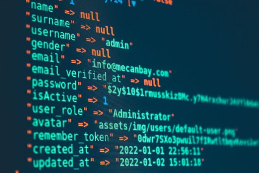 Anthropic’s Scion Version Control Draws Heavily from Meta’s Open-Source Mononoke