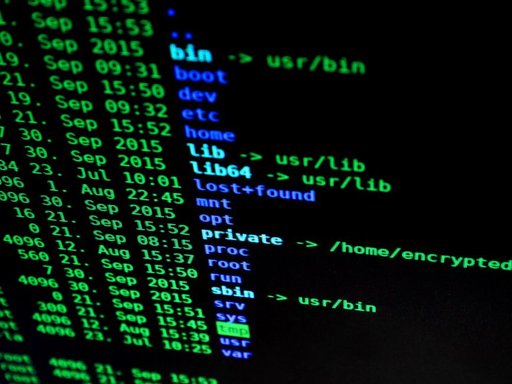 Exploring Whether gzip Can Function as a Language Model
