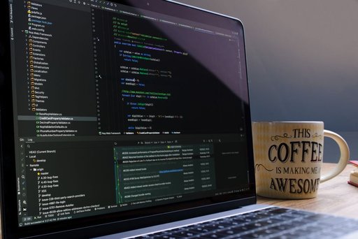 How Maker Perspective Shapes Software Beyond Process and Data