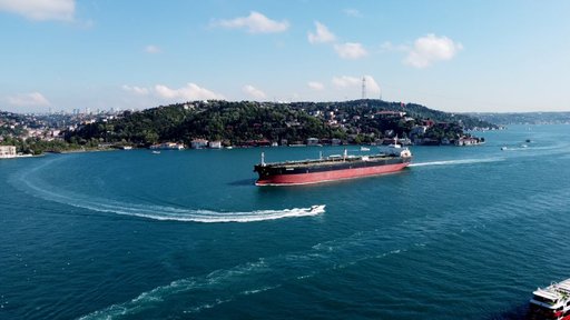 Iran grain imports flow through Hormuz despite US blockade, bulker traffic stays strong