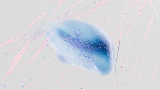 Neural Networks Are Cleaner Than Expected, Says Mechanistic Interpretability Research
