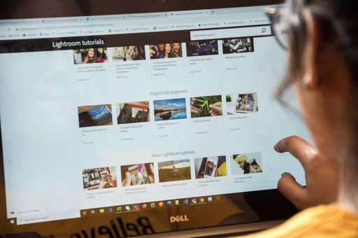 Web Development Educators Report Collapse in Income and Demand From AI