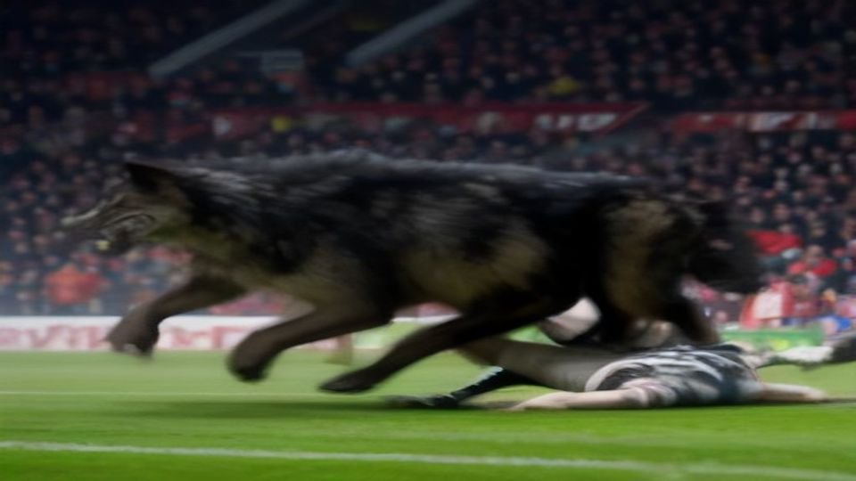 Wolves host Stoke in Championship clash with playoff implications